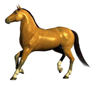 brown horse