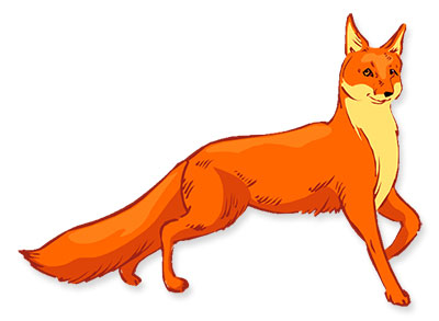 fox standing